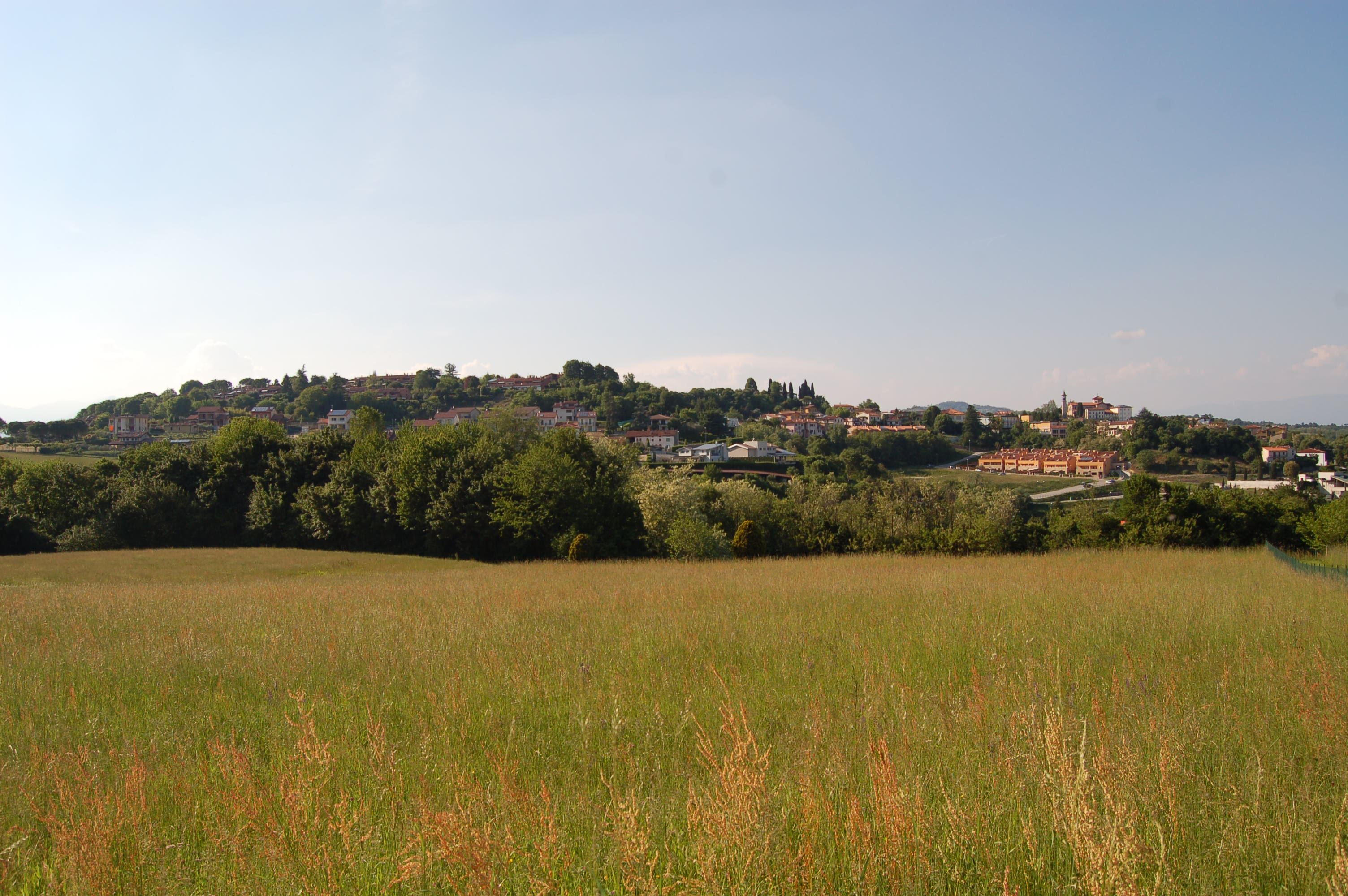 Monteviale immerso nel verde