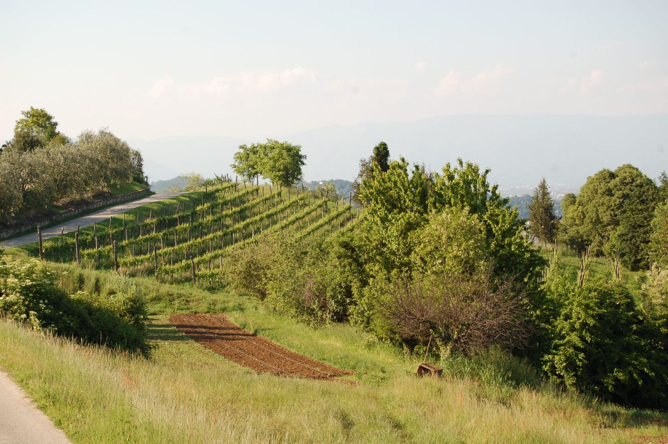 La natura a portata di mano