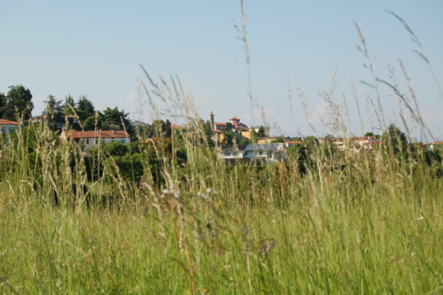 Monteviale immerso nel verde