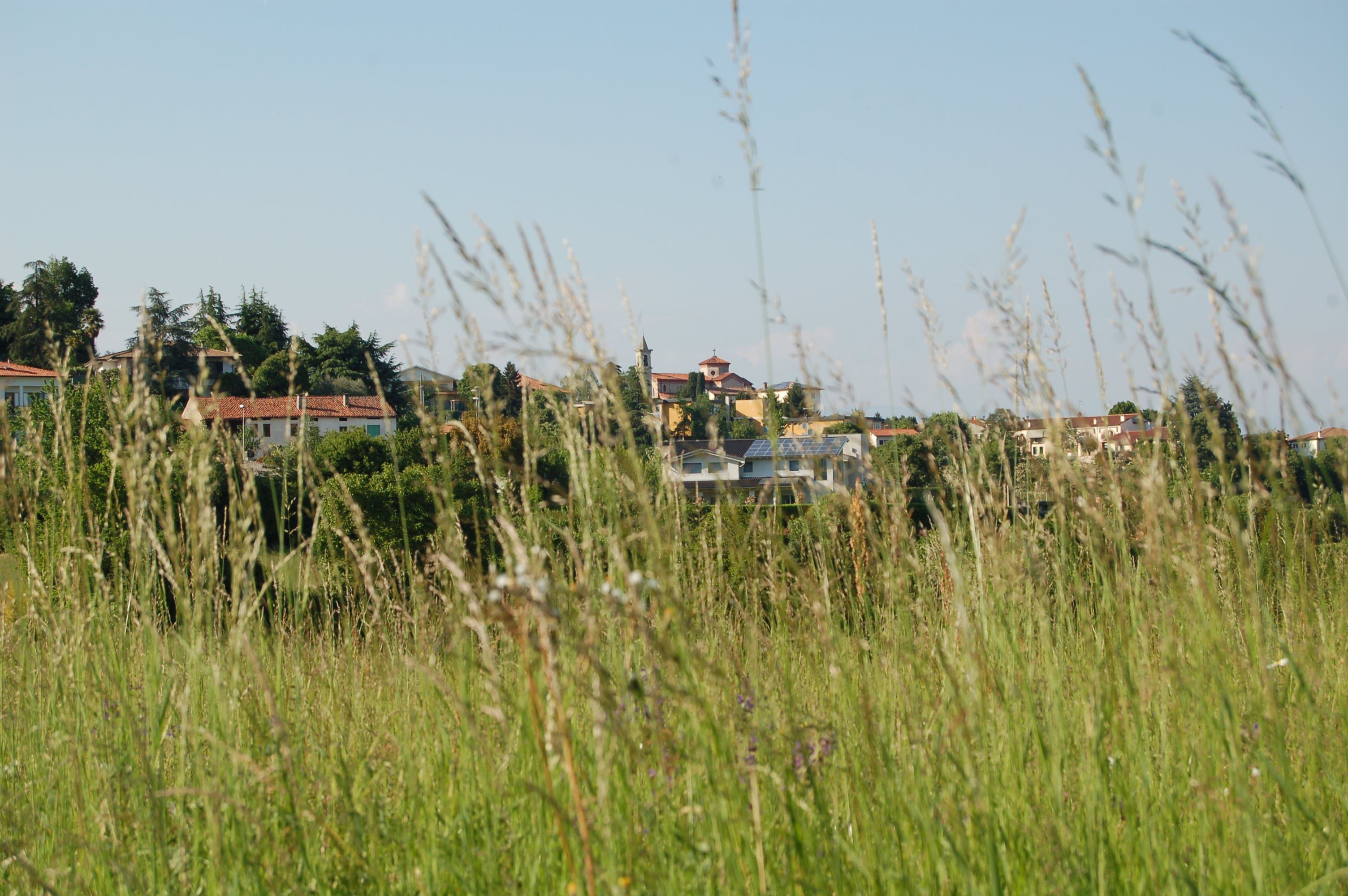 Monteviale immerso nel verde